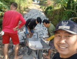 Tingkatkan Kesejahteraan Desa, Pemdes Kotamenara Bangun Jalan Paving